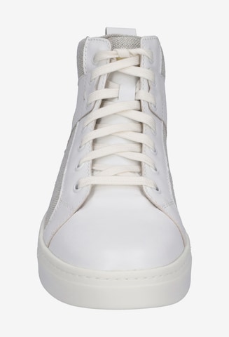 JOSEF SEIBEL Sneaker 'FRED 01' in Weiß