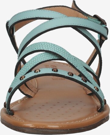 GEOX Sandalen met riem in Groen