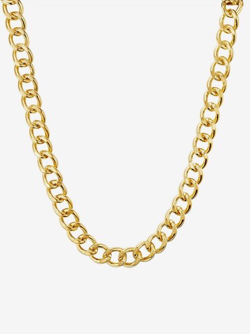 Yokoamii Necklace in Gold