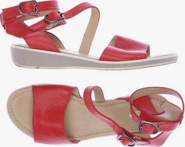 LLOYD Sandalen 37 in Rot: predná strana