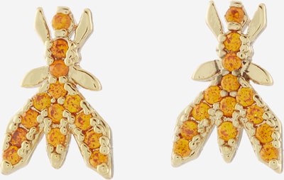 PATRIZIA PEPE Earrings in Gold / Orange, Item view
