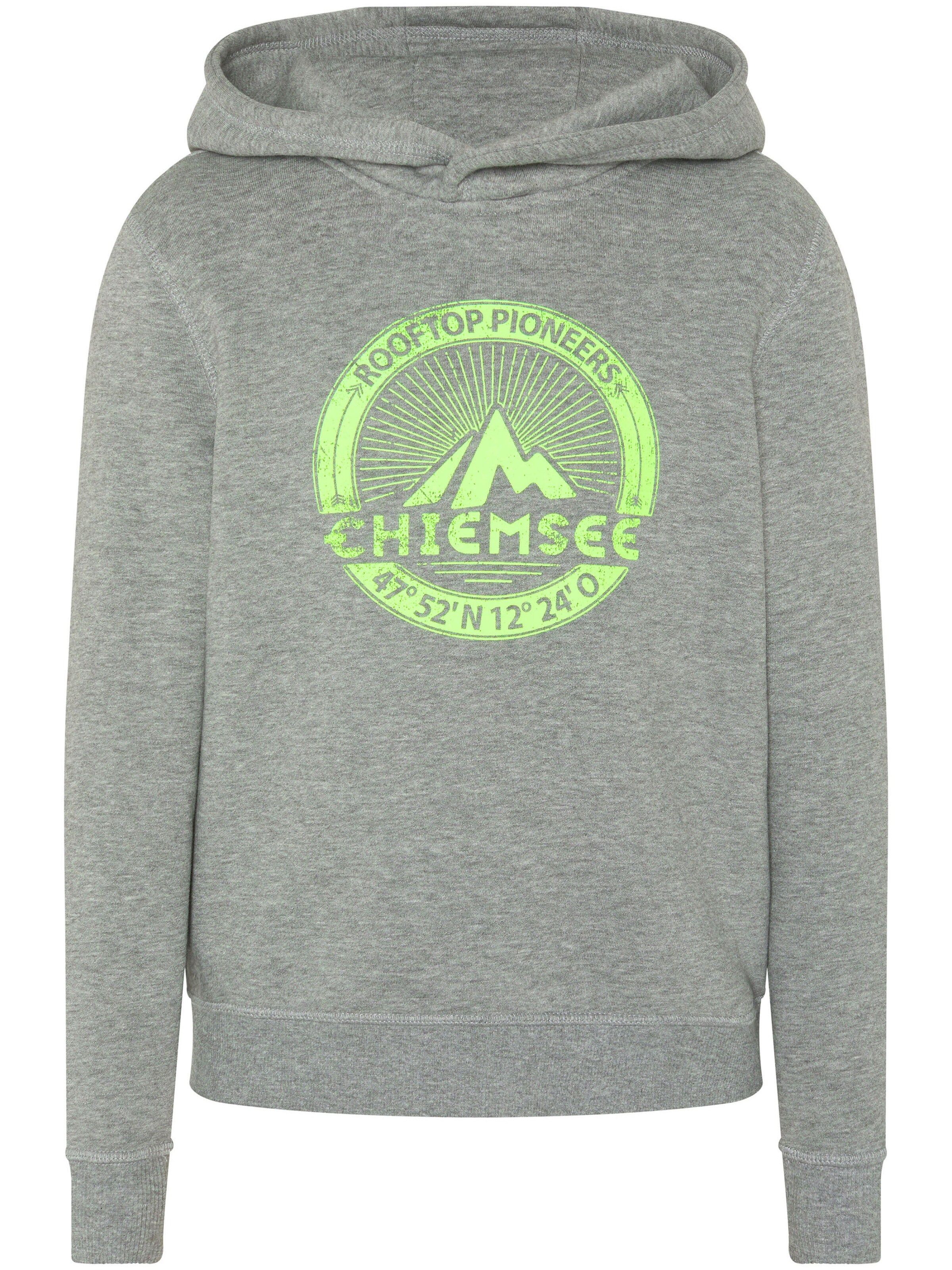 CHIEMSEE Sweatshirt in Grey: front