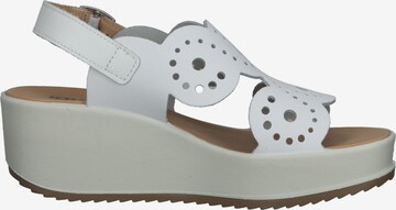 IGI&CO Sandals in White