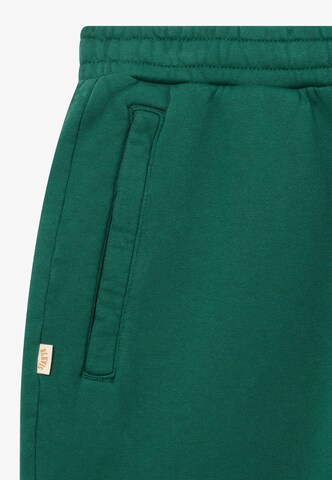 BLKVIS Zúžený Kalhoty – zelená