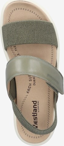 Westland Sandals 'Albi' in Green