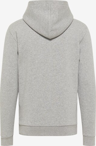 ALEKO Sweatshirt in Grey