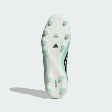 ADIDAS PERFORMANCE Παπούτσι ποδοσφαίρου 'Copa Pure IV Pro' σε πράσινο