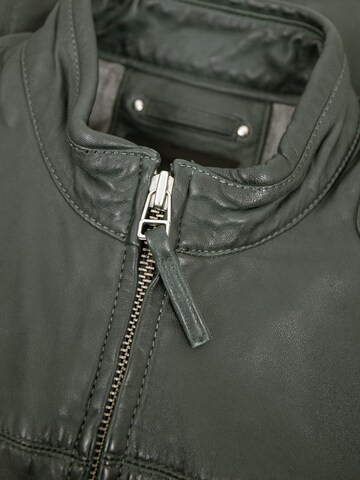 Jilani Tussenjas 'Cali' in Groen