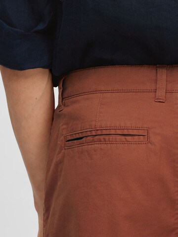 SELECTED HOMME Regular Chino Pants in Brown