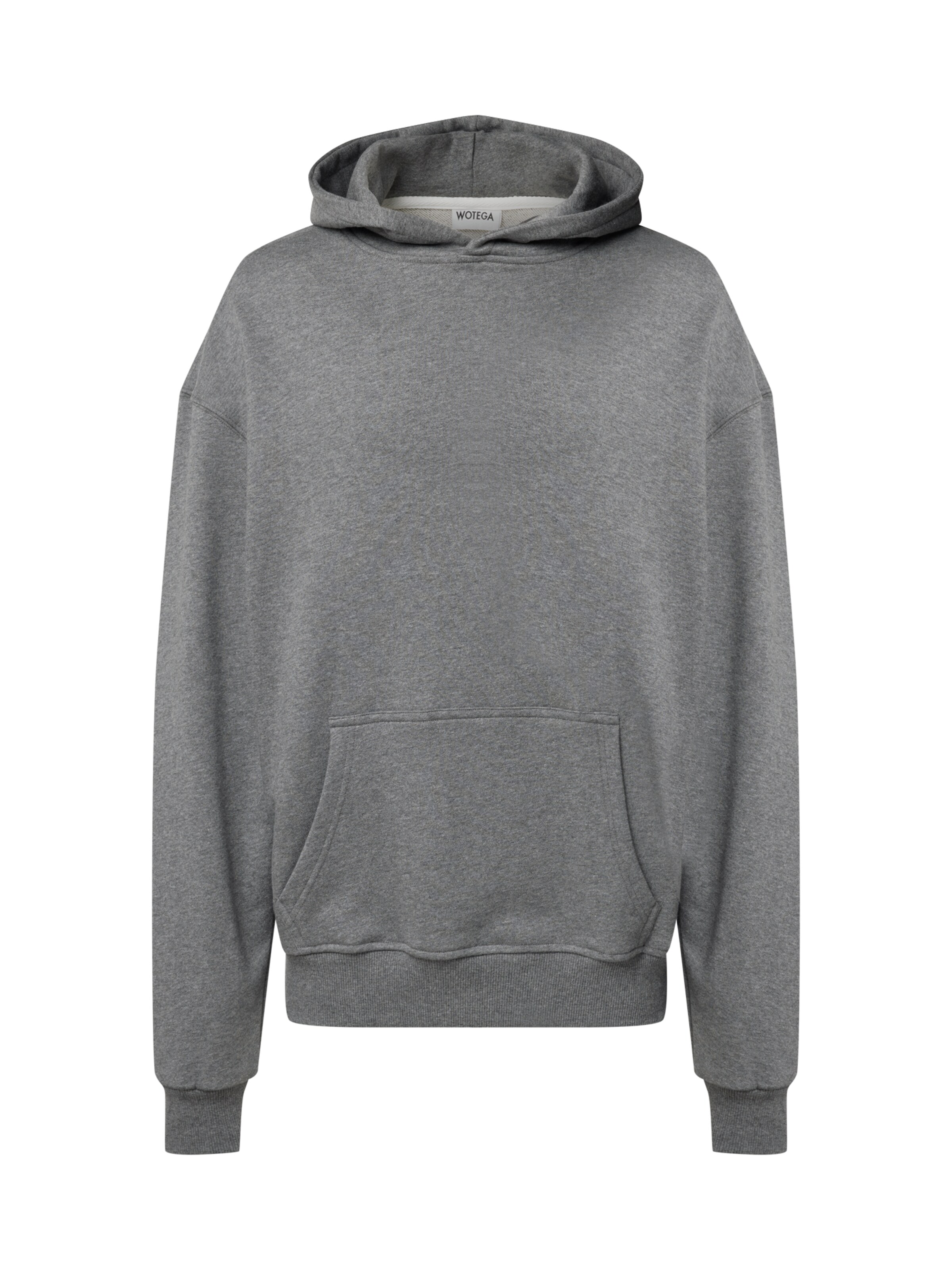 WOTEGA Sweatshirt 'VibeHood'‌‌‌‌‌ in Grau: Vorderseite