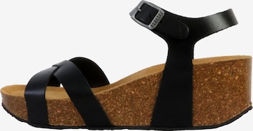 Plakton - Sandalias en negro: frente