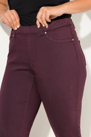 Ulla Popken Slimfit Broek in Lila
