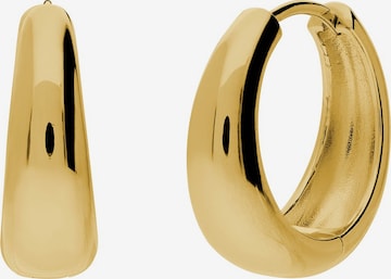 Boucles d'oreilles 'Statement' Lucardi en or : devant