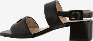 Högl Sandals 'Demi' in Black: front