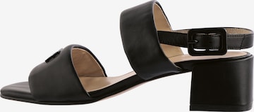 Högl Sandals 'Demi' in Black: front