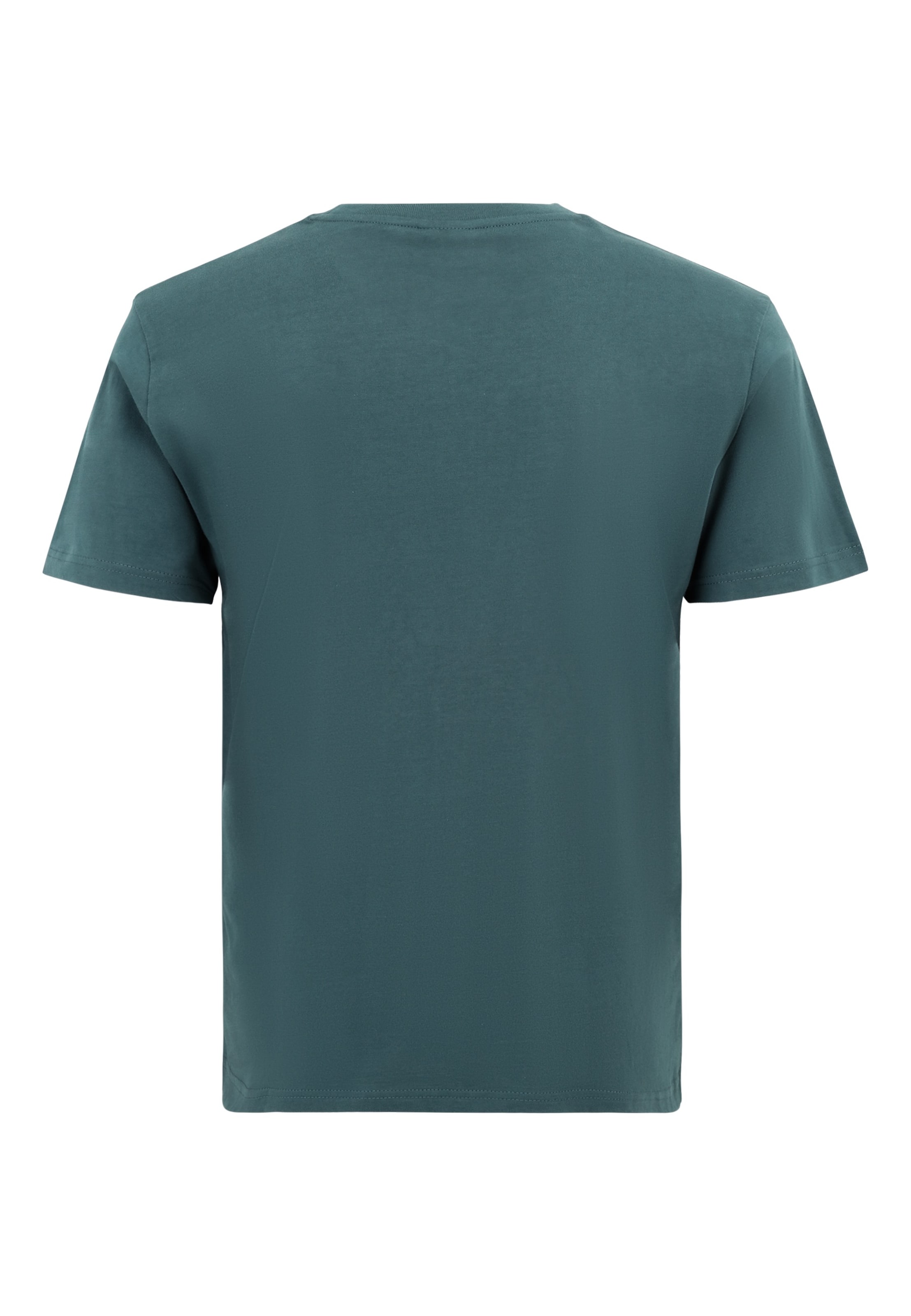 Oldskull Shirt 'Plain Basic' in Groen