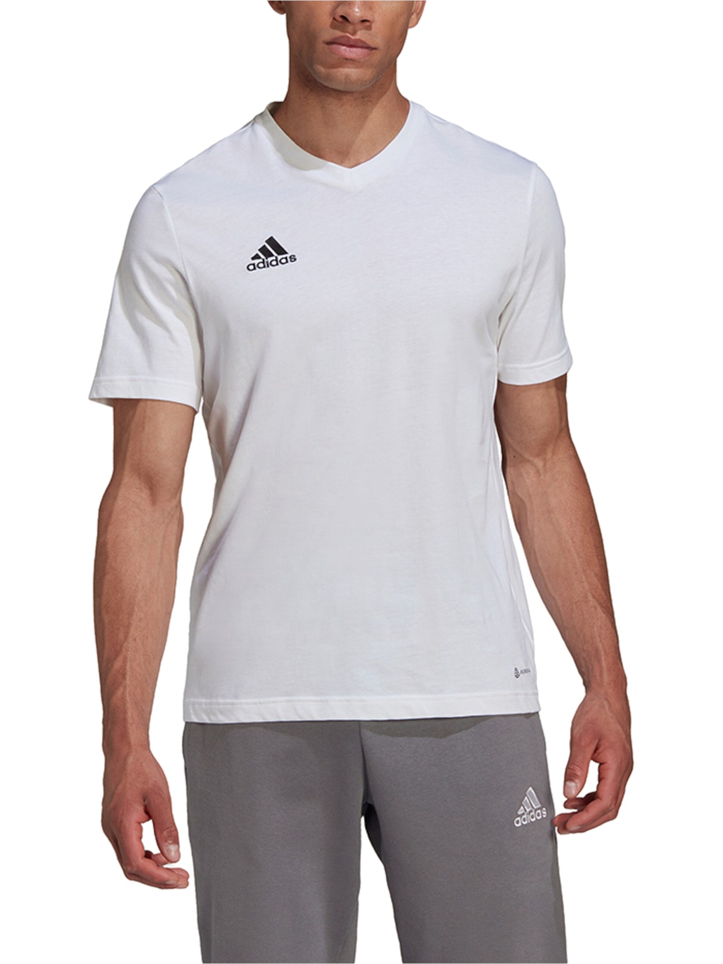ADIDAS PERFORMANCE Functioneel shirt 'Ent22' in Wit: voorkant