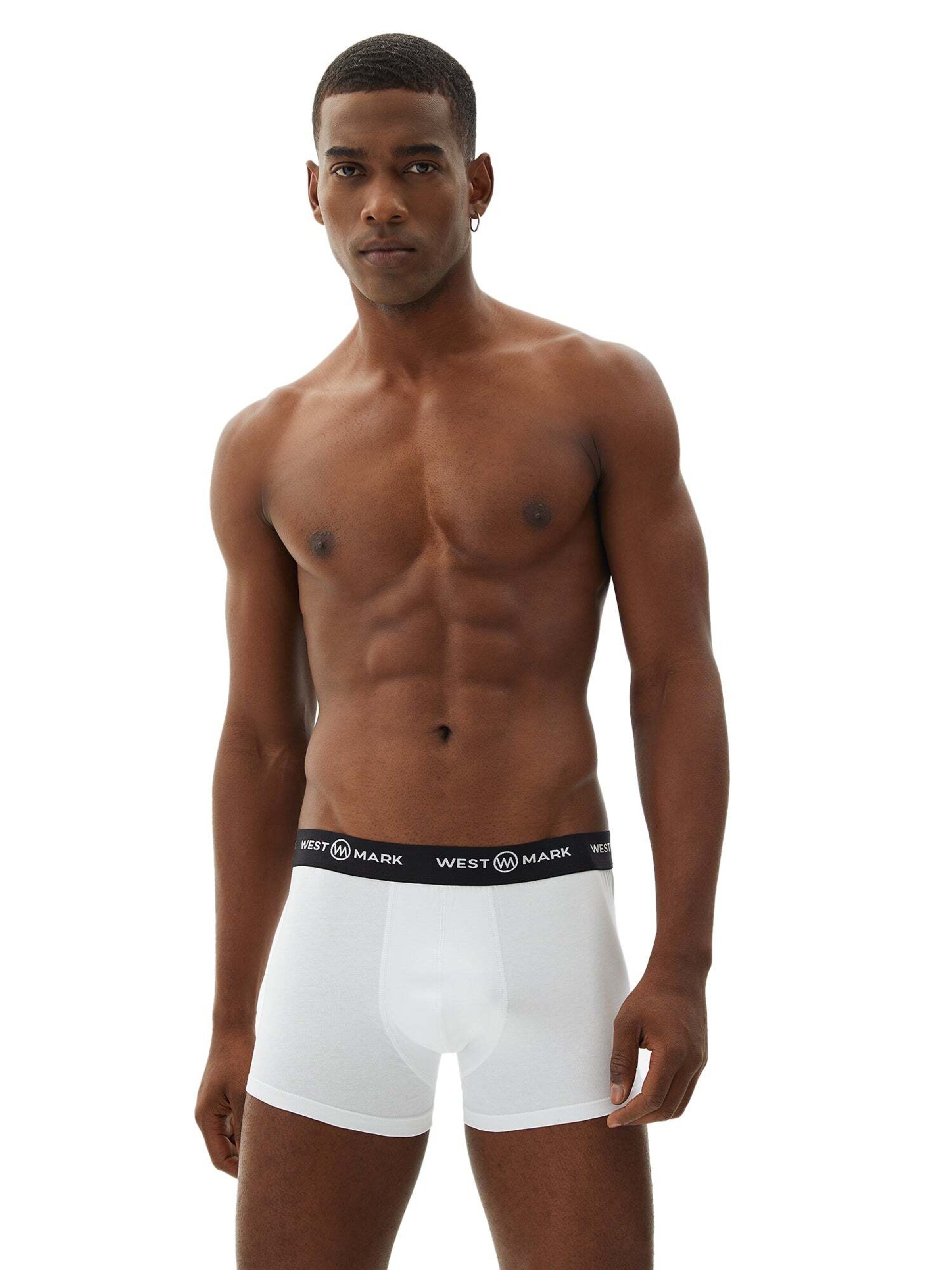 Boxer di WESTMARK LONDON in grigio: frontale