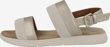 GEOX Sandalen met riem 'Dandra' in Beige