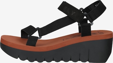 FLY LONDON Strap Sandals in Black
