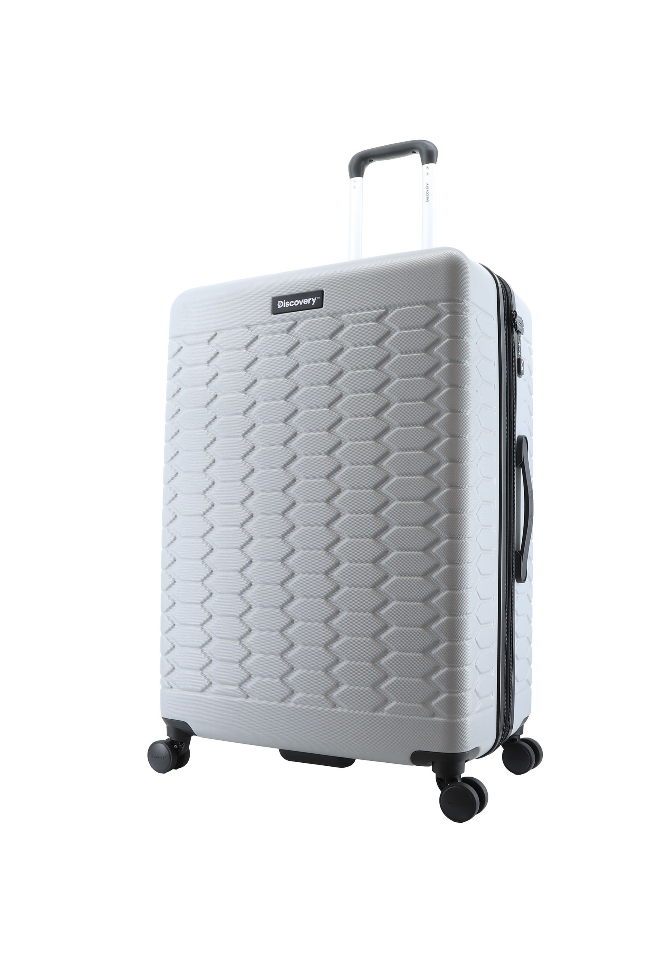 Discovery Suitcase Set 'REPTILE' in Silver