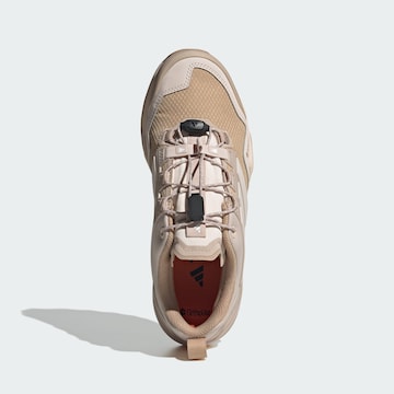 ADIDAS TERREX Lage schoen 'Skychaser' in Bruin