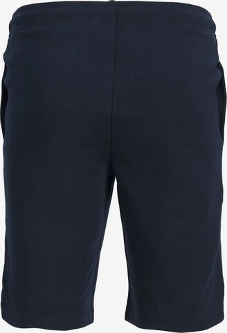 Jack & Jones Junior Regular Broek in Blauw