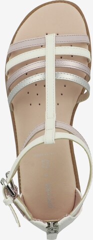 GEOX Sandals 'Karly' in White