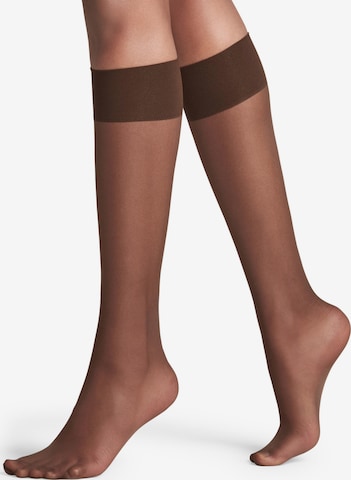 FALKE Knee High Socks 'Pure Matt' in Brown: front