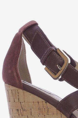 GEOX Sandals & High-Heeled Sandals in 38 in Brown