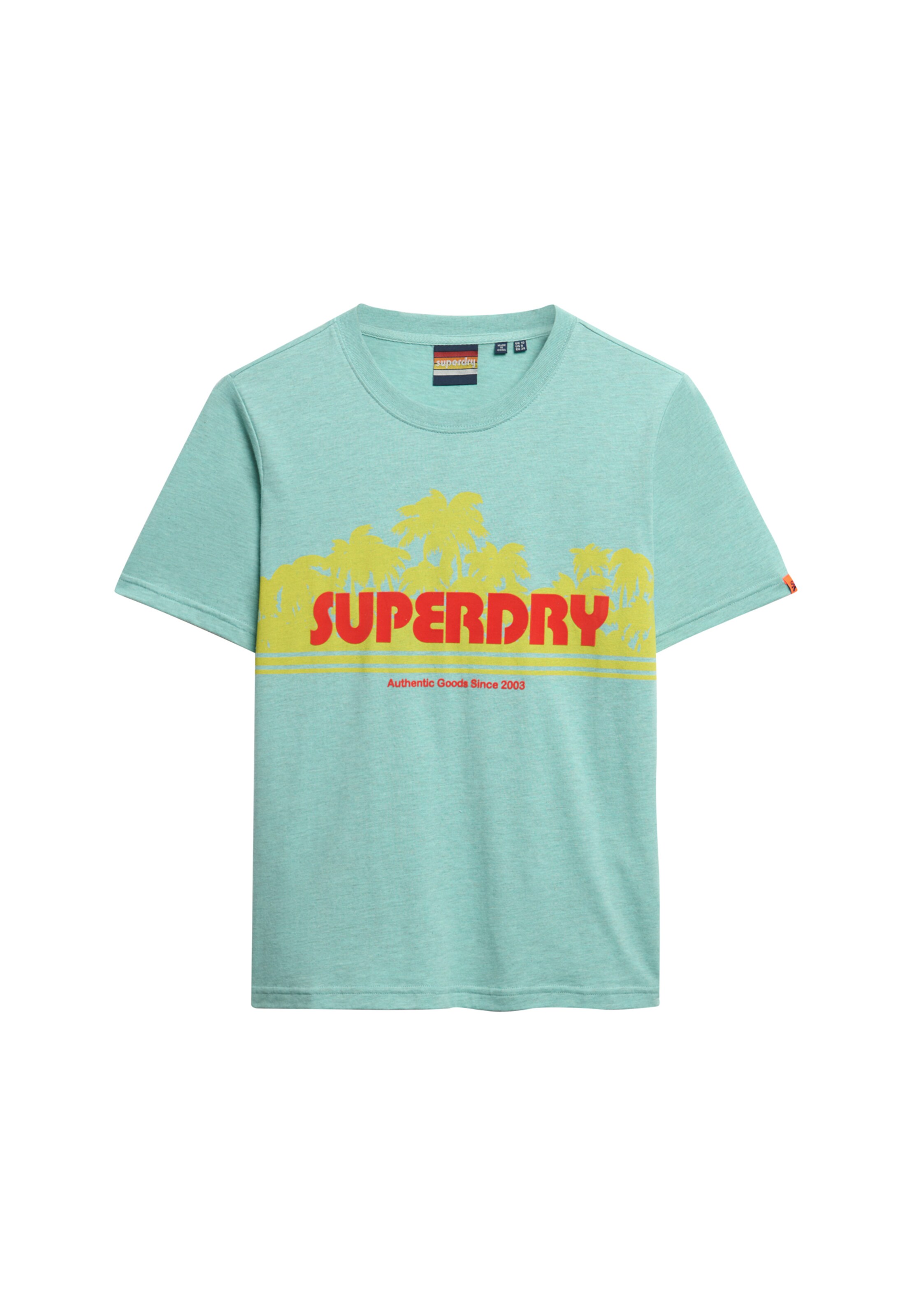 Superdry & Co Shirt in Green: front