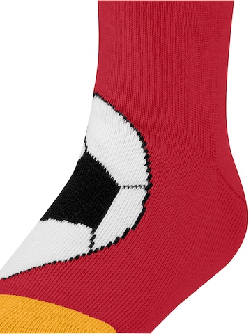 FALKE Socks 'Active Soccer' in Red: front