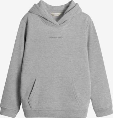 Copenhagen Legacy Sweatshirt i grå: framsida