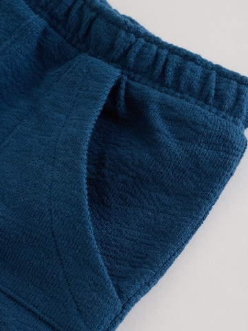 Next Regular Trousers in Blue