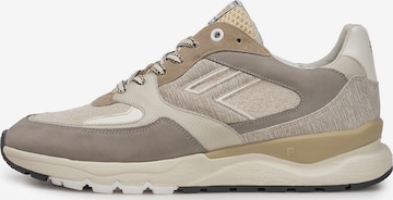 Sneaker bassa ' DE TREENER 01 ' di Floris van Bommel in marrone: frontale