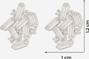 ALDO Σκουλαρίκια 'NANANNA' σε ασημί