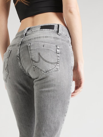 LTB Slimfit Jeans 'MOLLY' i grå