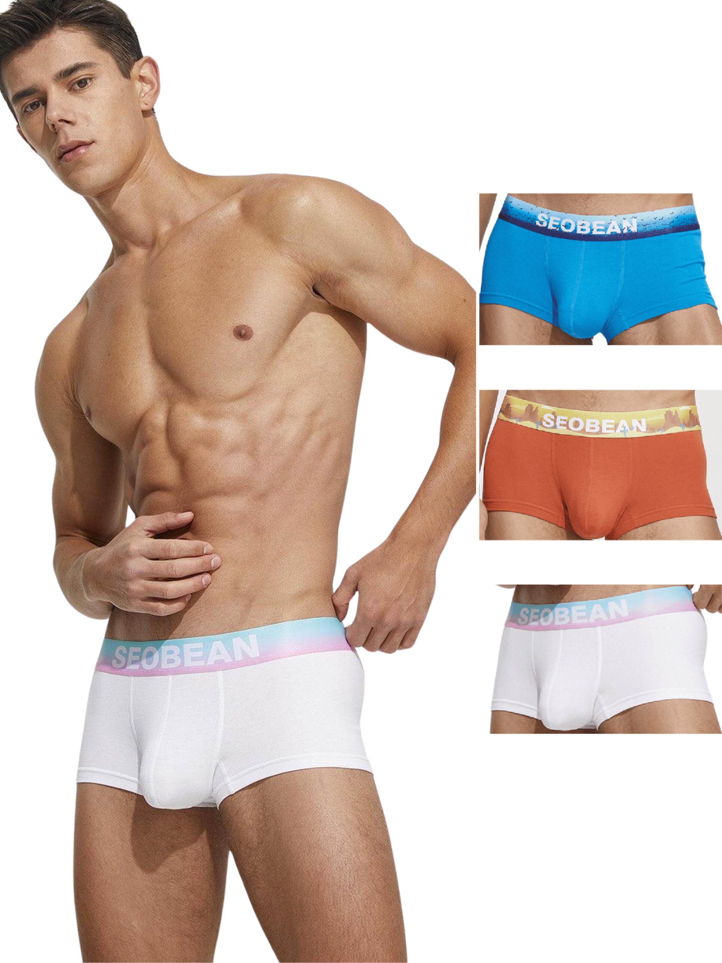 SEOBEAN Boxer shorts 'Classic Solid Stretch Trunk' in Mixed colors: front