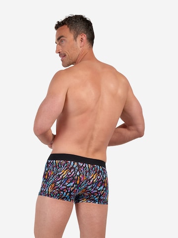Boxers ' Miami ' HOM en mélange de couleurs