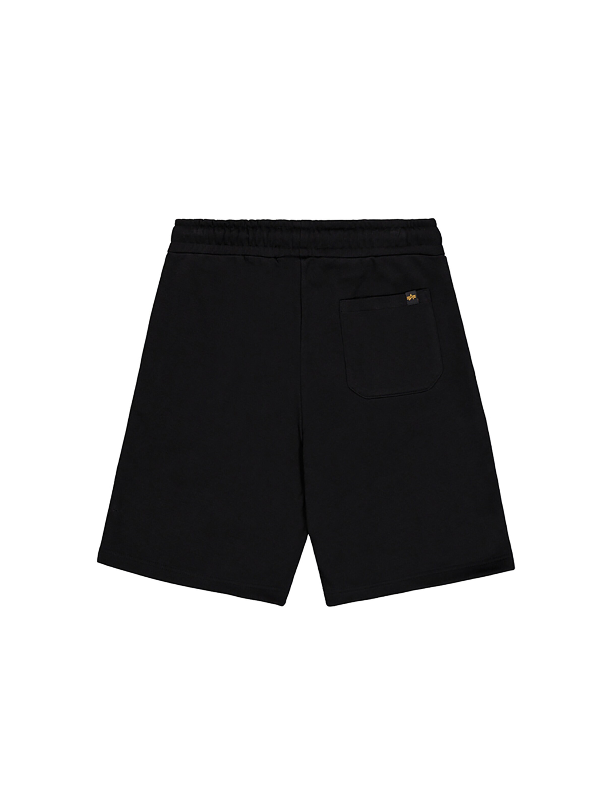 Regular Pantaloni de la ALPHA INDUSTRIES pe negru
