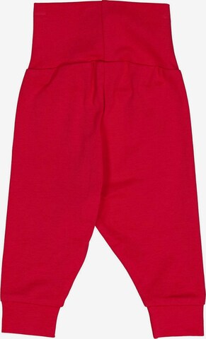 Fred's World by GREEN COTTON Regular Pants '2er-Pack' in Pink