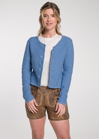 Cardigan 'Pupa' SPIETH & WENSKY en bleu : devant