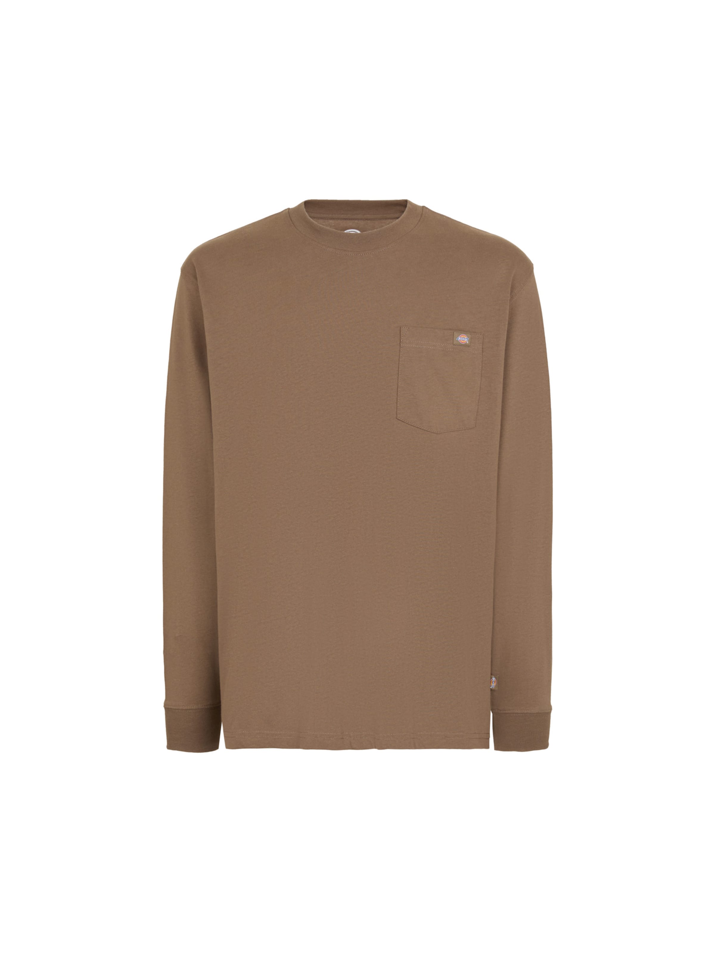 DICKIES Shirt 'LURAY' in Brown: front