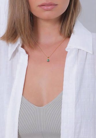 ELLI PREMIUM Necklace 'Geburtsstein Dezember' in Gold: front