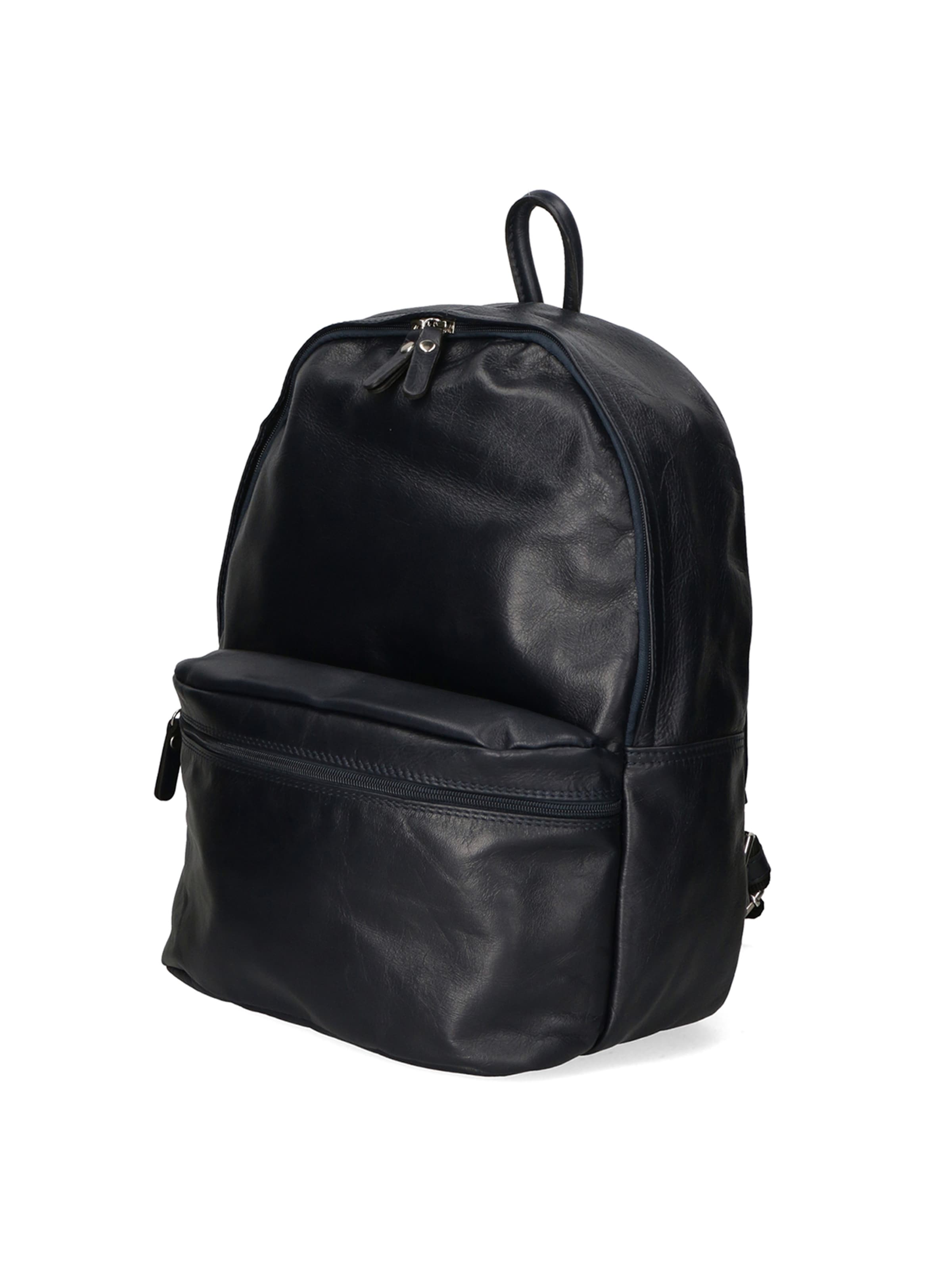 Gave Lux Backpack in Blue: front