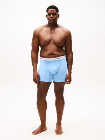 Tommy Hilfiger Underwear Plus Боксерки в синьо
