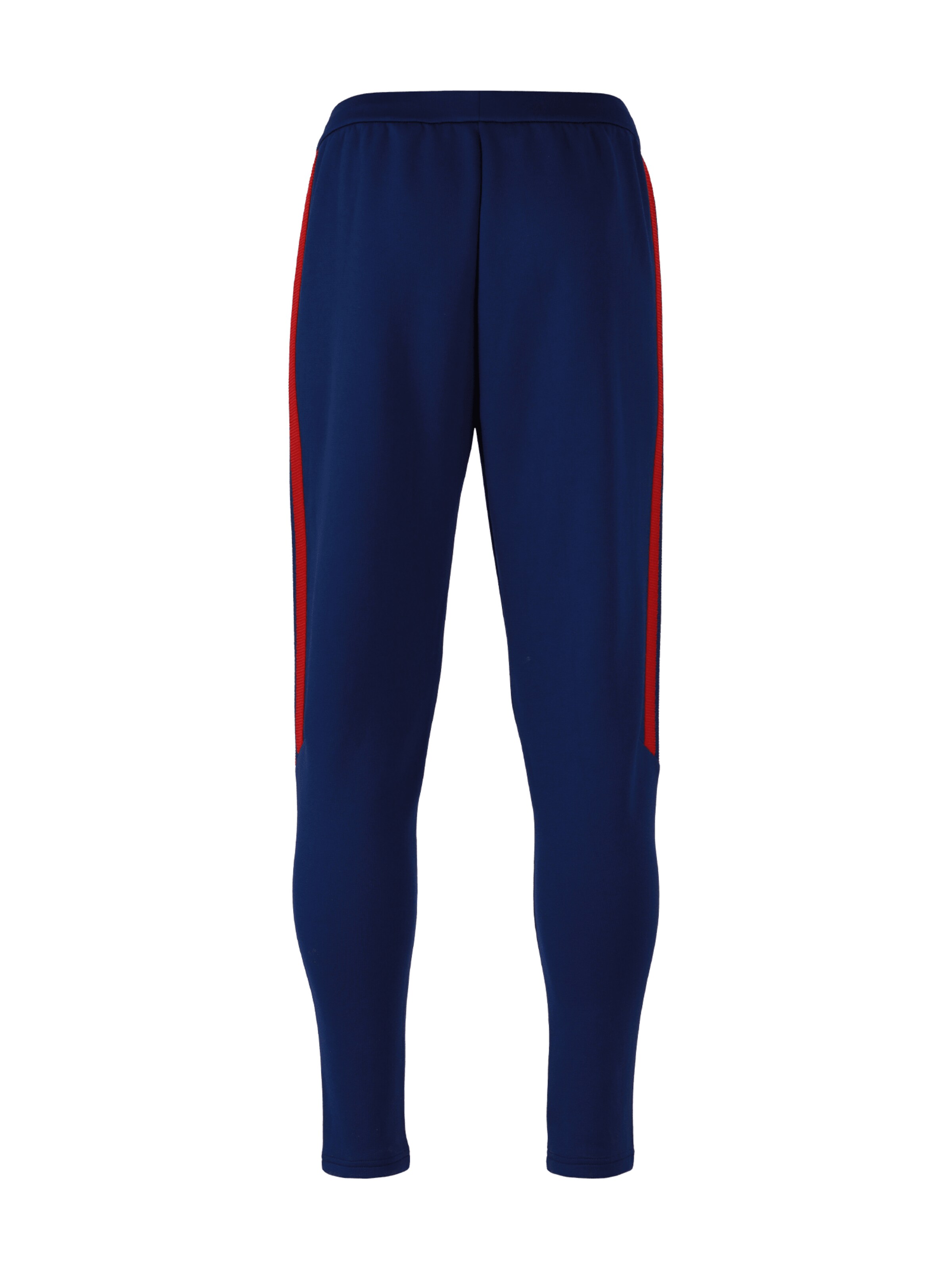 ADIDAS PERFORMANCE Regular Workout Pants in Blue