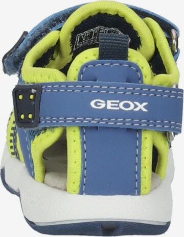 GEOX Sandale 'Multy' in Blau