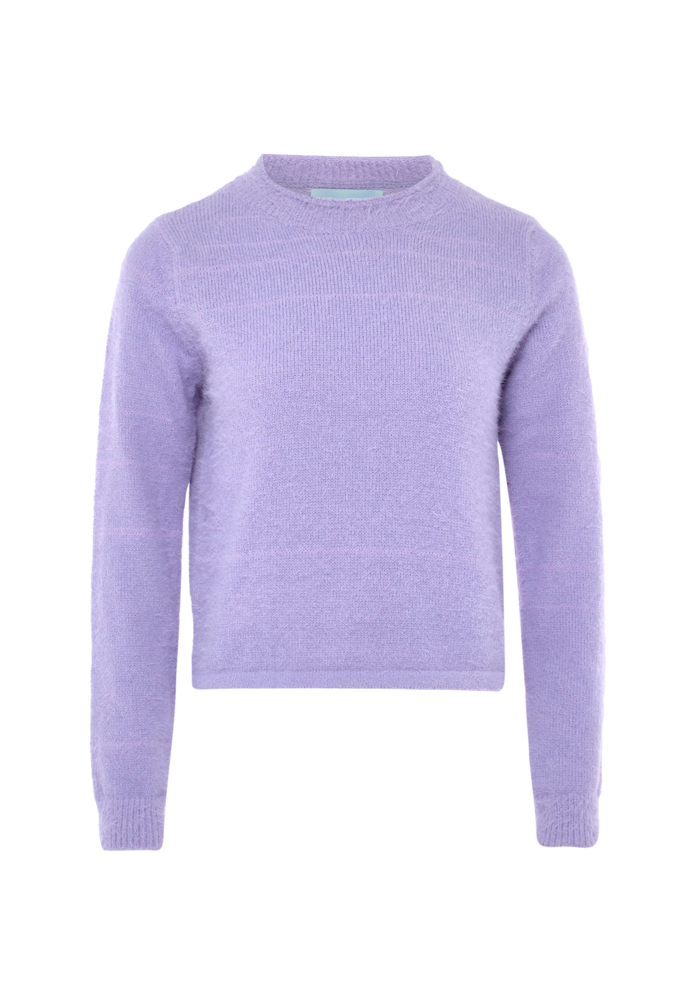 Poomi Sweater 'Poomi' in Purple: front