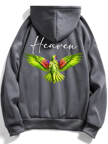 RMK Sweatshirt 'Heaven'‌‌‌‌ in Grau: Vorderseite